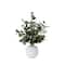 24" Artificial Green Eucalyptus Leaves Arrangement with Ceramic Planter